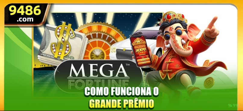 Fortune Series Premium Features